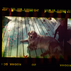 Kodachrome #133