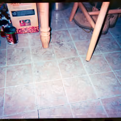 Kodachrome #892