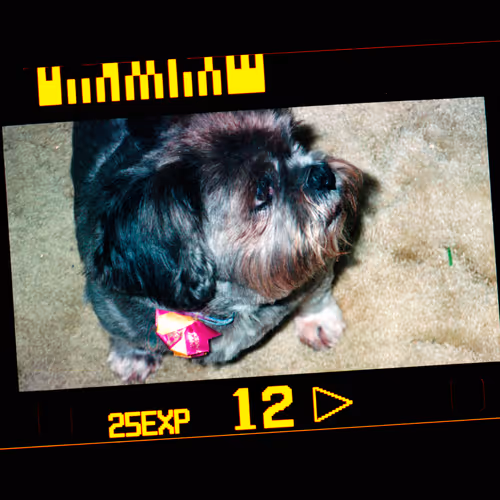 Kodachrome V2
