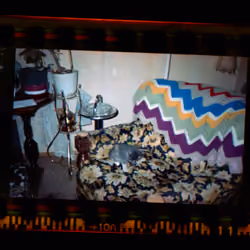 Kodachrome #1392