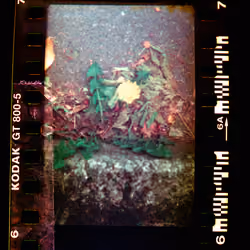 Kodachrome #714