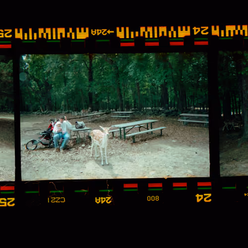 Kodachrome #1151