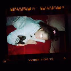 Kodachrome #619