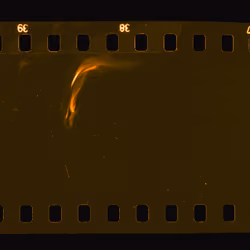 Kodachrome #75