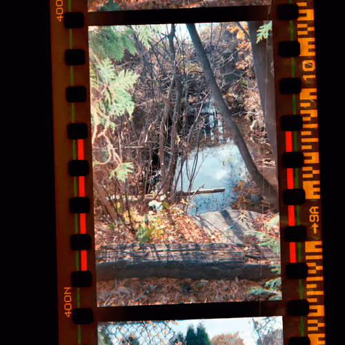 Kodachrome #1053
