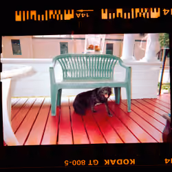 Kodachrome #638