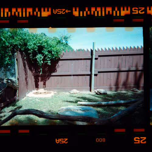 Kodachrome V2