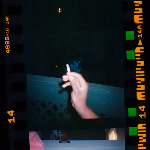 Kodachrome #731