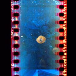 Kodachrome #615
