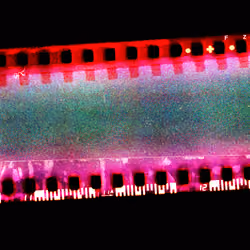 Kodachrome #1253