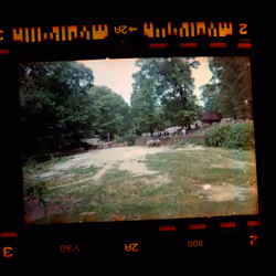 Kodachrome #997