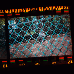 Kodachrome #1492