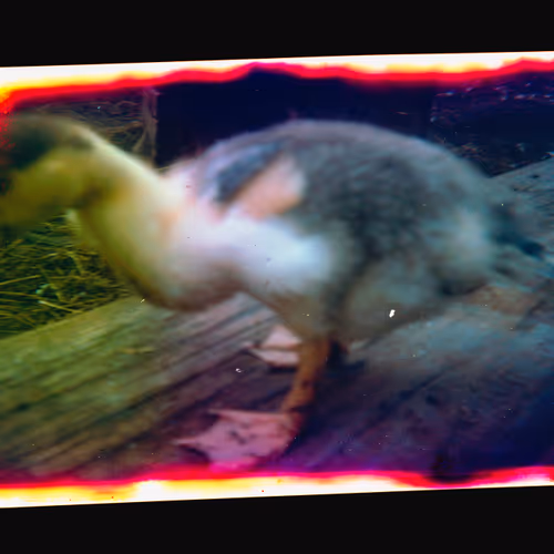 Kodachrome V2