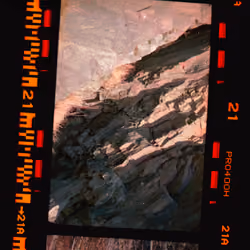 Kodachrome #433