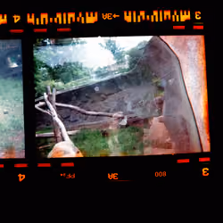 Kodachrome #746