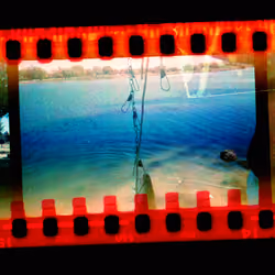 Kodachrome #261