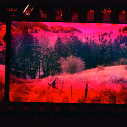 Kodachrome #816