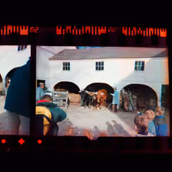 Kodachrome #1198