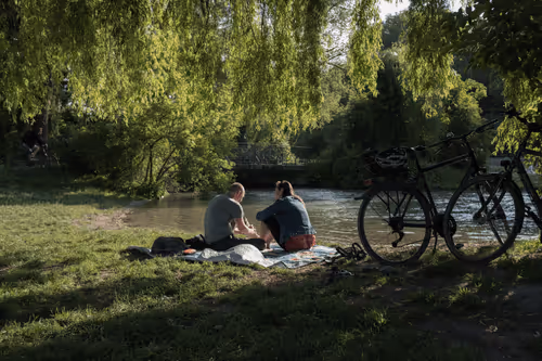 A Collection of Random Variables