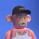 62
