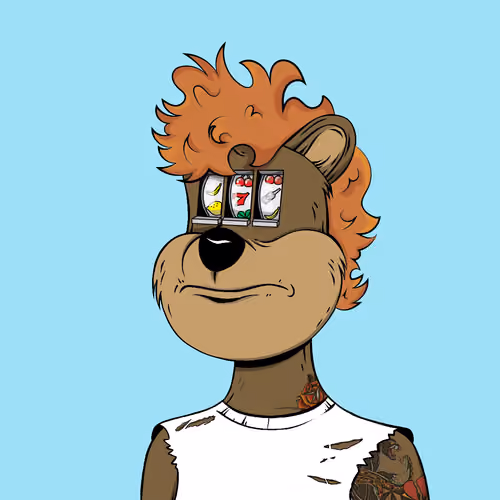 Tribe Quokka #1479