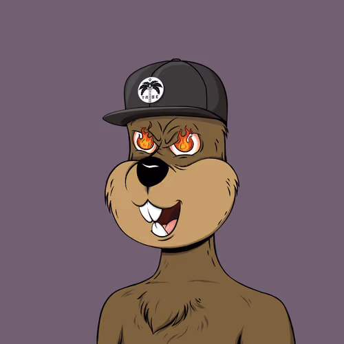 Tribe Quokka #7416