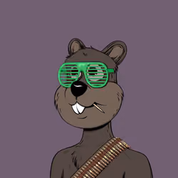 Tribe Quokka #1076