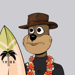 Tribe Quokka #6438