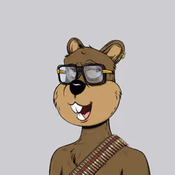 Tribe Quokka #6471
