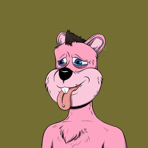 Tribe Quokka #2611