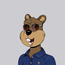 Tribe Quokka #1823