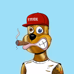 Tribe Quokka #1220