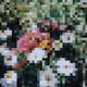 pixels x magnetismo