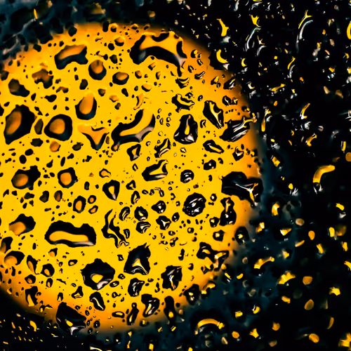 “Mirrors of Rain”. „Spiegel des Regens“. «مرايا المطر».