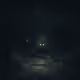 The Shadow Monkey