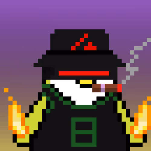 Penguin  Club