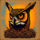 wallkoart owl