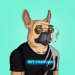 Bit Frenchie #0882