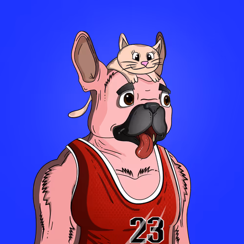 Bitfrenchie Official