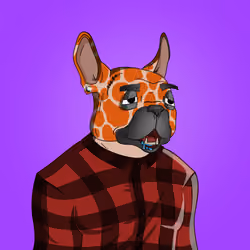 Bit Frenchie #0999