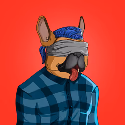 Bit Frenchie #2125