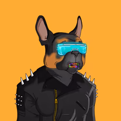 Bit Frenchie #1262