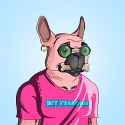 843