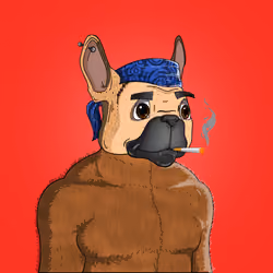 Bit Frenchie #1692