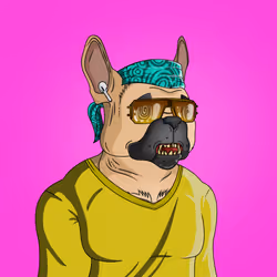 41