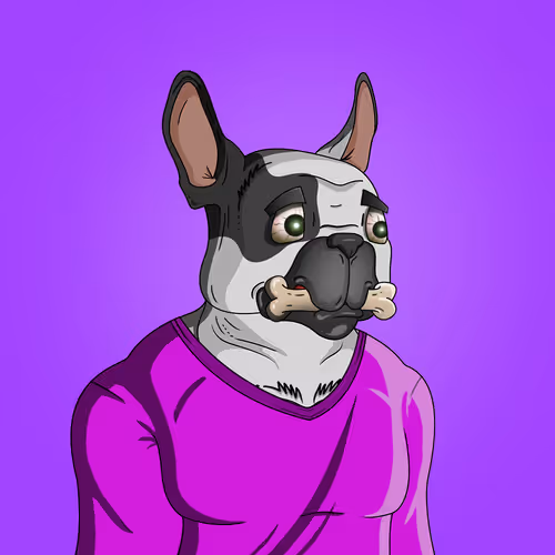 Bitfrenchie Official
