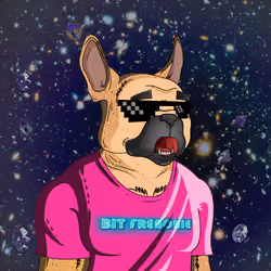 Bit Frenchie #1667