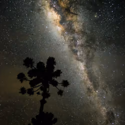 Night Sky #2