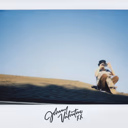 Johnny Valentine: The Polaroid Collection