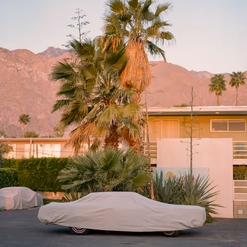 A Portrait Of Palm Springs